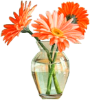 Fleurs (  dans vase )