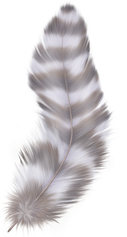 PLUMES