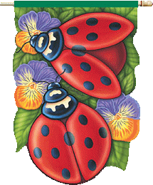 COCCINELLES