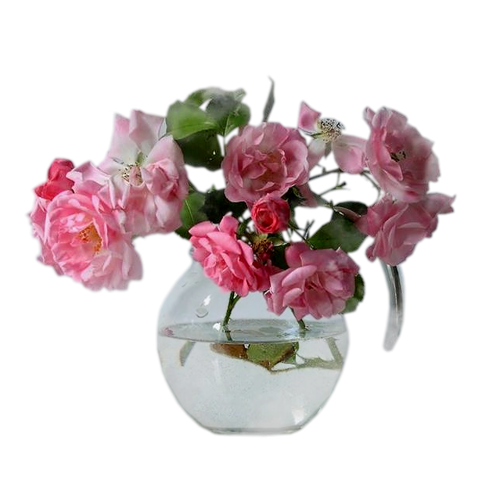 Fleurs (  dans vase )