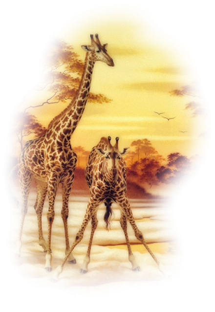 animaux (GIRAFES )