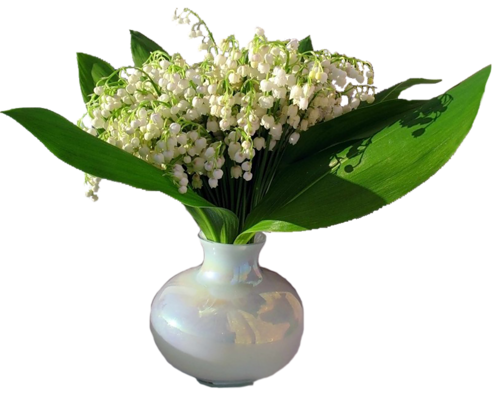 TUBES FLEURS ( MUGUET ) 1