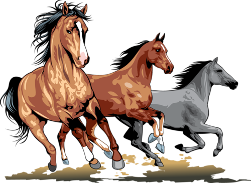 Chevaux