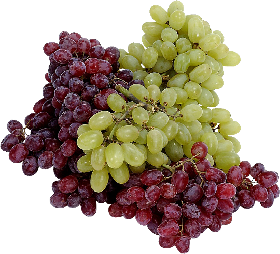 Fruits (raisins)