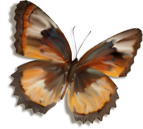 Papillons