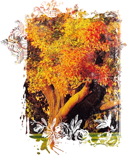 Paysage d'automne