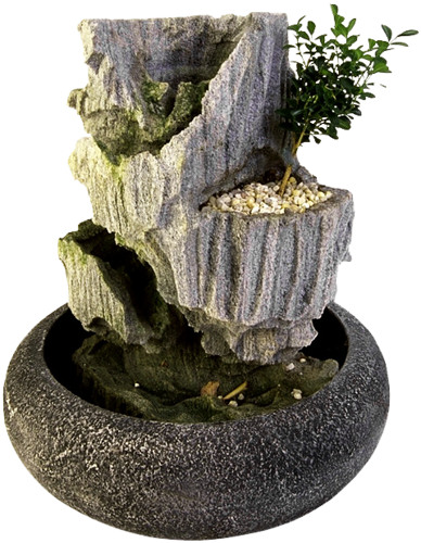 Bonsai