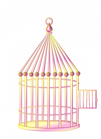 CAGE OISEAU( VIDE )