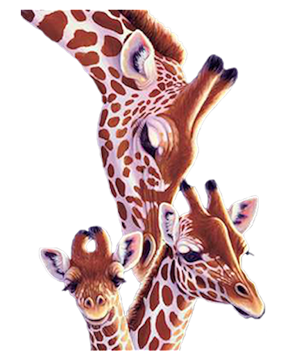 animaux (GIRAFES )