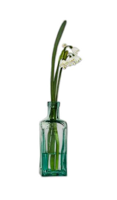  fleur vase