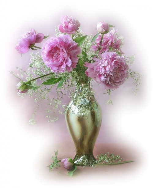 FLEURS (dans Vase )