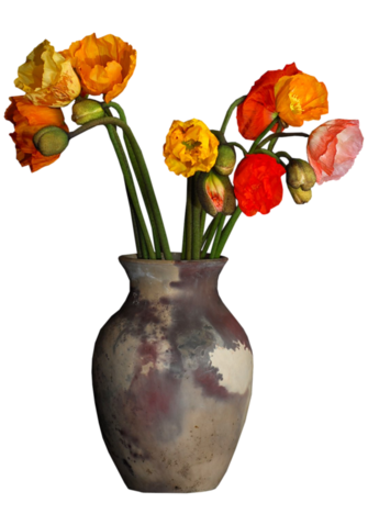 Fleurs (  dans vase )