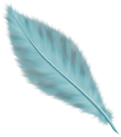 PLUMES