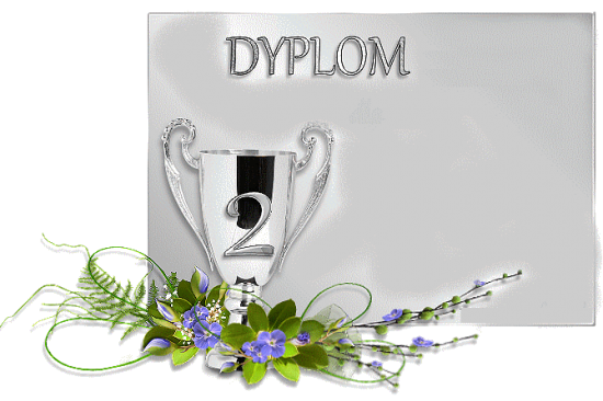 DIPLOMES