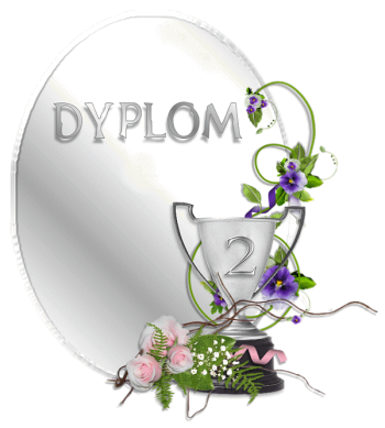 DIPLOMES