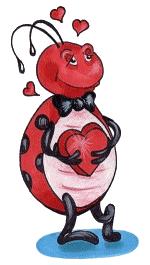 Coccinelle