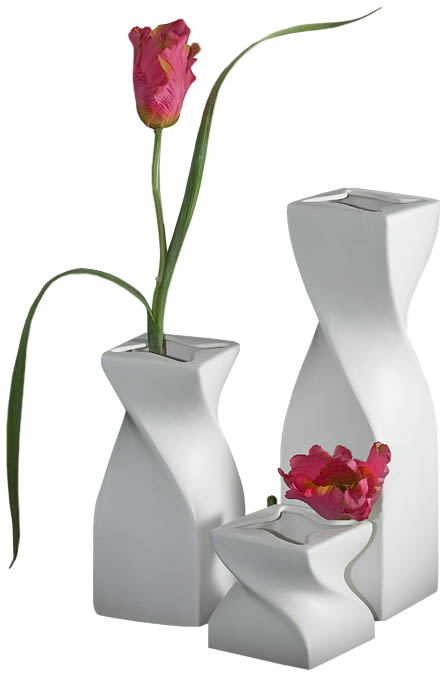 FLEURS (dans Vase )