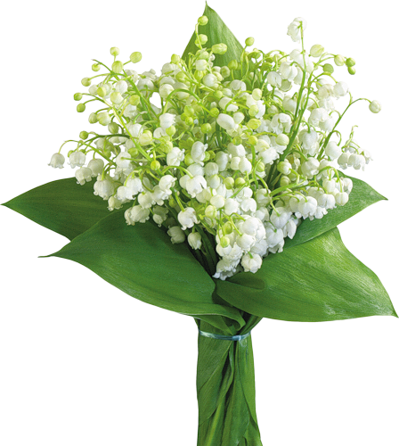 TUBES FLEURS ( MUGUET ) 1