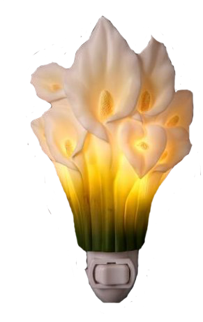 Fleurs Arum