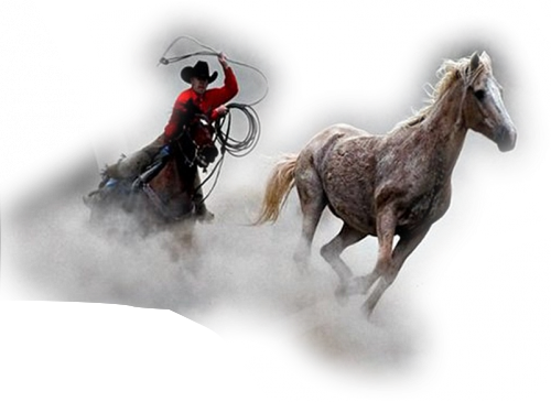 Chevaux