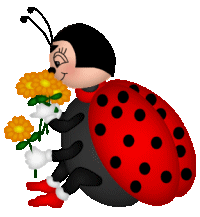 Coccinelle