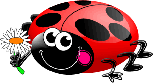 Coccinelle