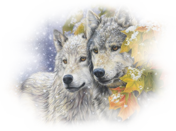 Loups