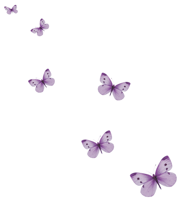 Papillons