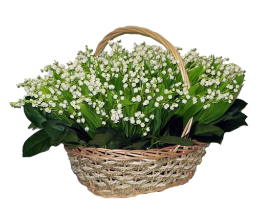 TUBES FLEURS ( MUGUET ) 1