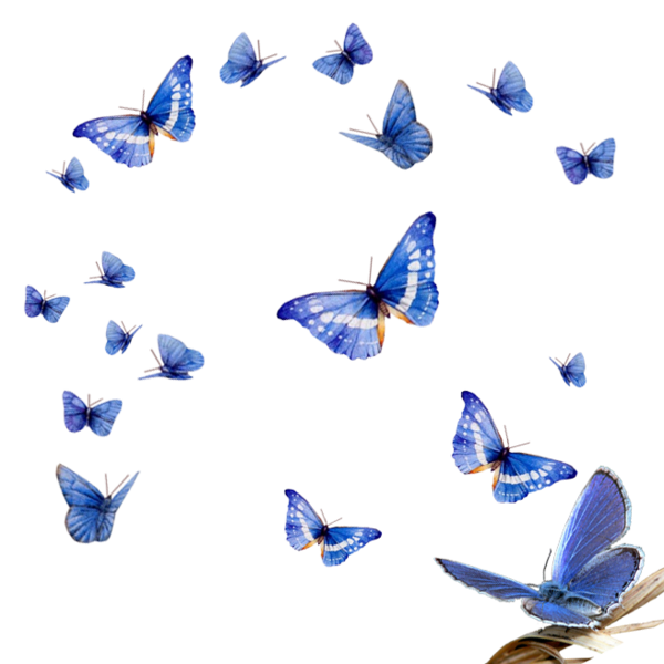 Papillons