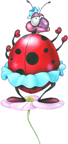 Coccinelle