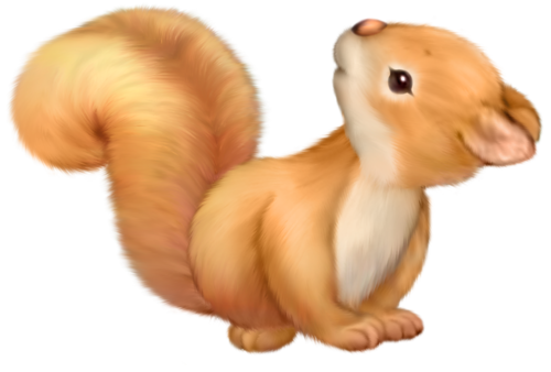 ecureuil