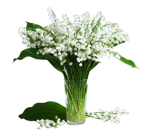 TUBES FLEURS ( MUGUET ) 1