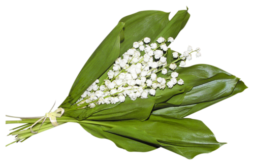 TUBES FLEURS ( MUGUET ) 1