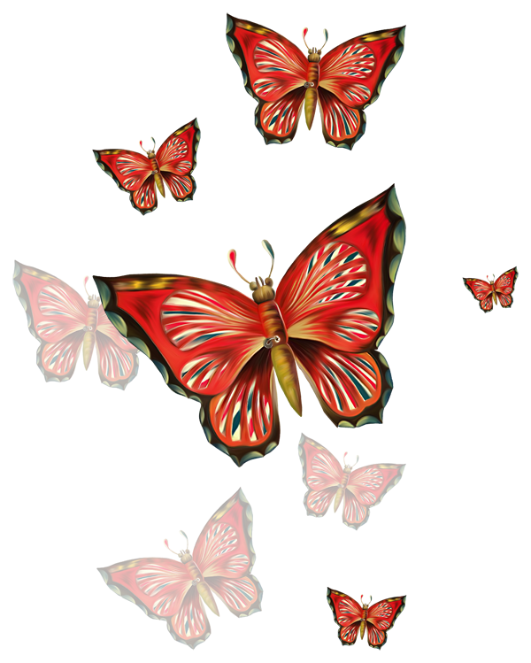 Papillons