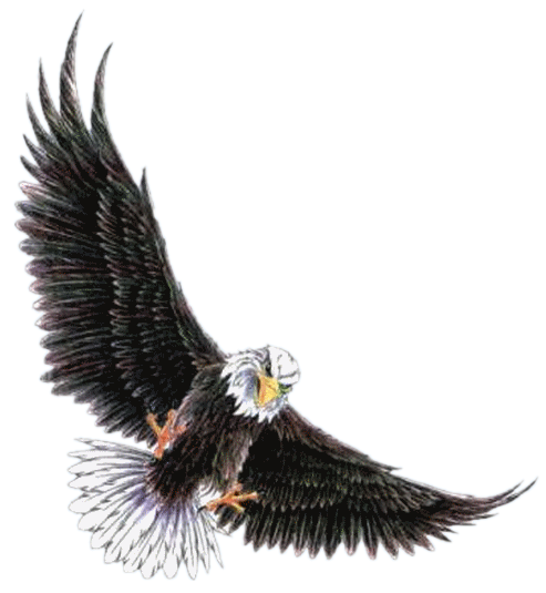 Rapace