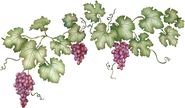 Fruits (raisins)