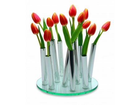 fleur tulipe