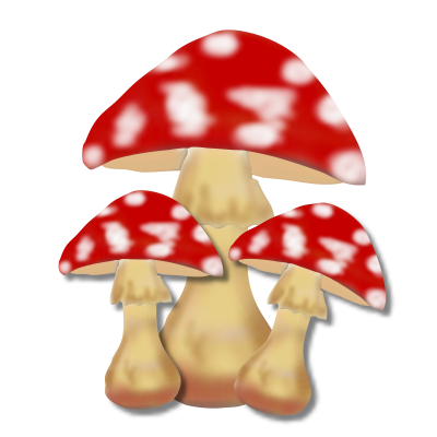 Champignons