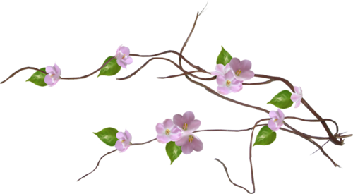 Fleurs ( branches )