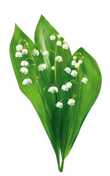 TUBES FLEURS ( MUGUET ) 1