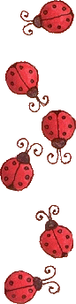 Coccinelle