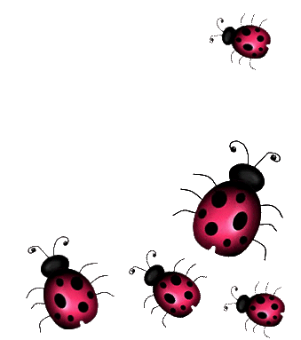 COCCINELLES