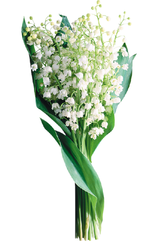 TUBES FLEURS ( MUGUET ) 1