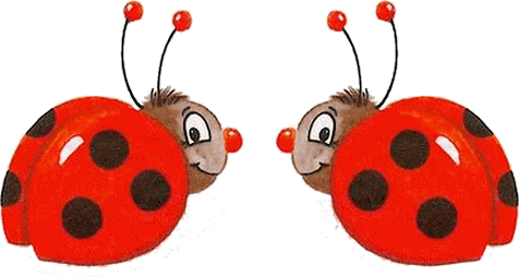 COCCINELLES