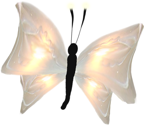 Papillons