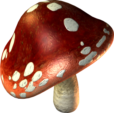 Champignons