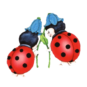 Coccinelle