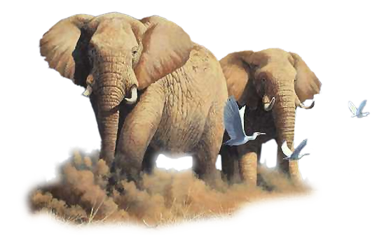 TUBES ANIMAUX ( ELEPHANTS )