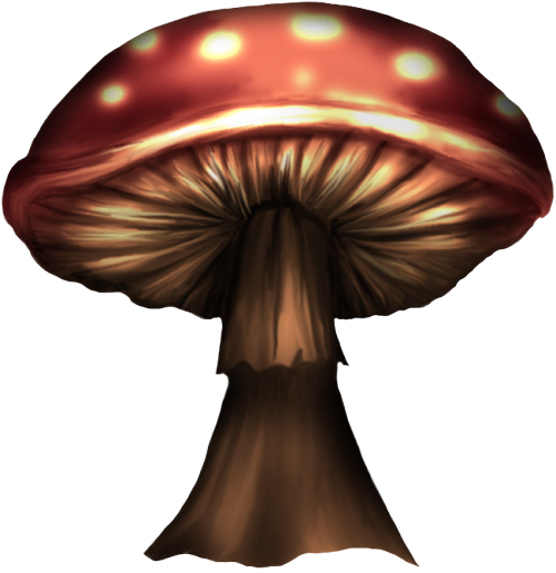 Champignons